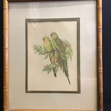 J Gould Framed Love Bird Print (Seattle)