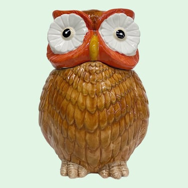 Vintage Owl Cookie Jar Retro 1970s Bohemian + Ceramic + Brown and Orange + Hand Painted + Kitchen Storage + Bird Decor + Boho Canister 