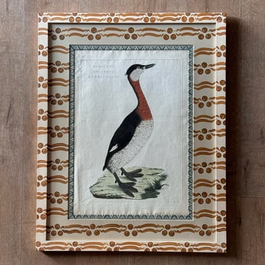 19th C. Engraving of a Red-Necked Grebe by Sepp &#038; Nozeman in Ochre Gusto Painted Frame