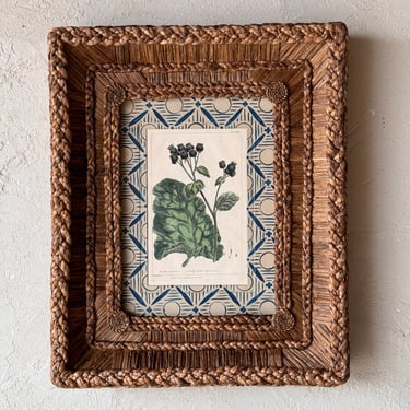 Gusto Woven Frame with 18th C. Phillip Miller Botanical Hand-Colored Engraving XI