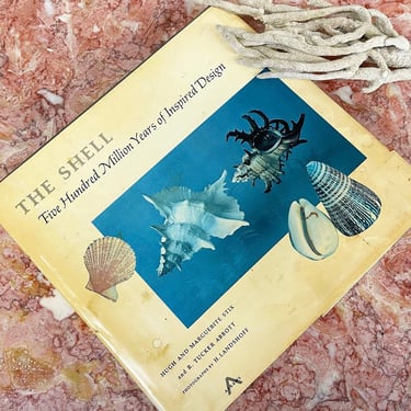 Vintage The Shell Book Retro 1960s Five Hundred Million Years of Inspired Design + Hugh and Marguerite Stix + Seashells + Shell Lore 