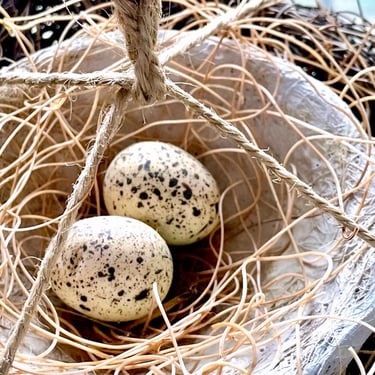 Nest with Spotted Bird Eggs. Man-Made with Branches & Grass. Farmhouse Country Charming Cottage Decor and Accessories 