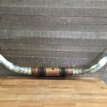 Mounted Bull Horns w/ Leather Wrap (Tacoma)