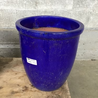 Cobalt Blue Planter (Seattle)
