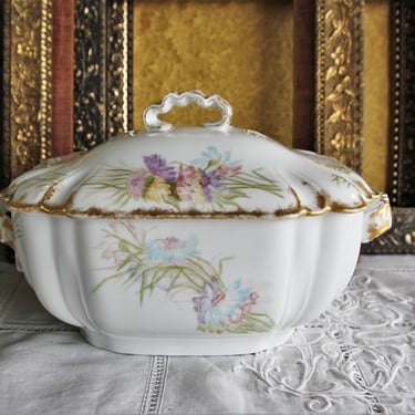 So Pretty Hand Painted Antique Haviland and Company Limoges Covered Soup Tureen 