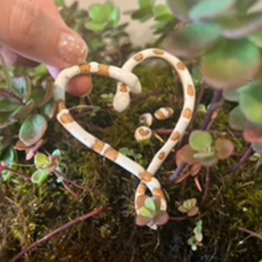 Snake Couple