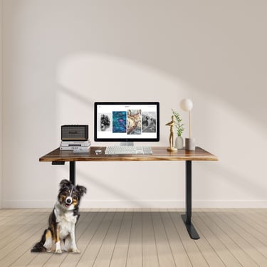 Standing Desk - Desk, Black Dual Motor Frame, Walnut, Stand-Up Desk, Live Edge Desk, Adjustable Standing Desk 