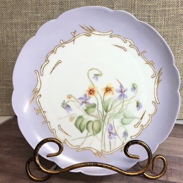 Antique Haviland Limoges H & Co. L France Hand Painted Cabinet Plate Dated 1876-1889 RARE Collectible Scallop Edge Gold Gilt Detail RARE 