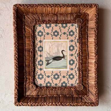 Gusto Woven Frame with Francois Nicolas Martinet Hand-Colored Bird Engraving XXV