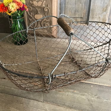 French Wire Harvest Basket, Garden Trug, Carrier, Oysters, Rustic French Farmhouse, Homesteading 