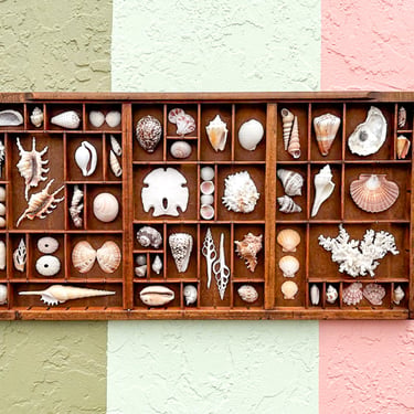 Printer's Tray Shell Display | Palm Beach Regency | Lake Park, FL