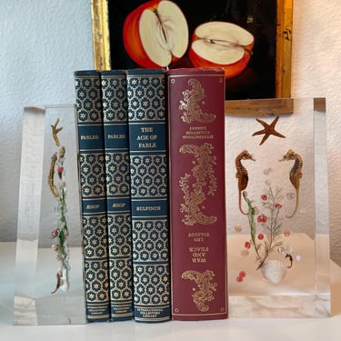 Lucite Seashells Ocean Aquarium Bookends Set of 2 | 2 Vintage Seahorse Bookends | Lucite Sea Animal Block Sculpture | FLAW READ 