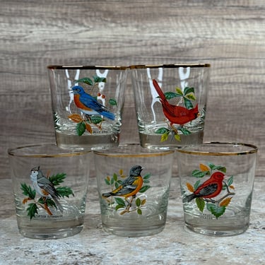 West Virginia Glass American Song Birds Vintage Gold Rimmed Drinkware Set of 5 
