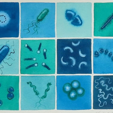 Bacteria in Green and Blue - original watercolor painting of microbes - microbiology art 