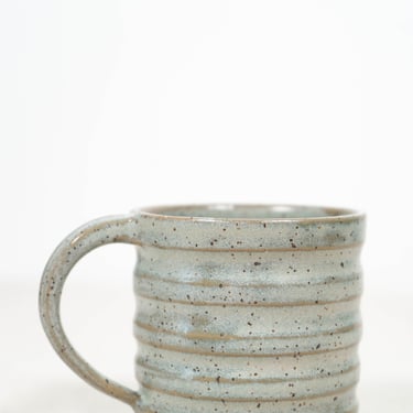 Speckled Sage Mug