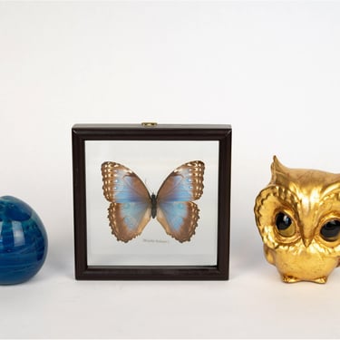 Decorative Lot with Butterfly, Owl, Glass Egg
