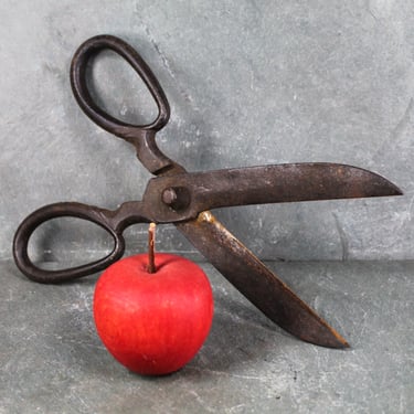 Antique Large Blacksmith Scissors | Rustic Iron Scissors | Large Rustic Shears | Bixley Shop 