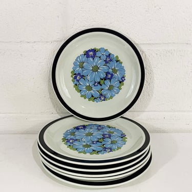 Vintage Dinner Plates Set of 6 Plate Ceramic Stoneware Blue Daisy Designers Collection Blue Shasta Mid Century Flower Power Dopamine 1970s 