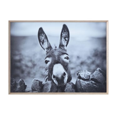 Framed Canvas Photo Print