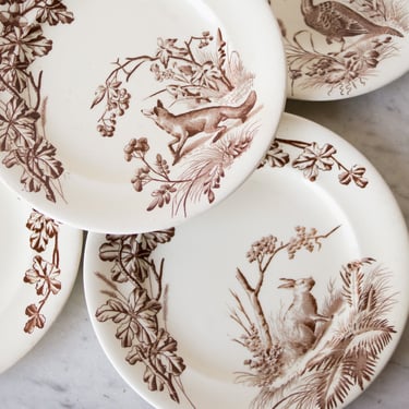 Matched Transferware Plates with Animals Set of 12