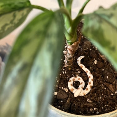 Plant Friend