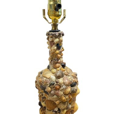 Seashell Lamp from England