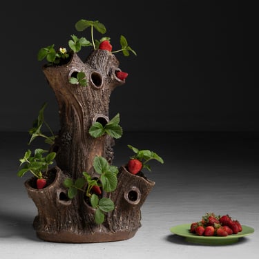 Strawberry Planter