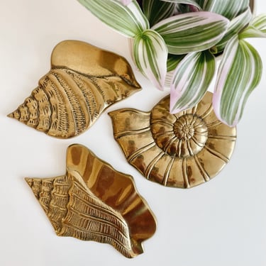 Brass Seashells