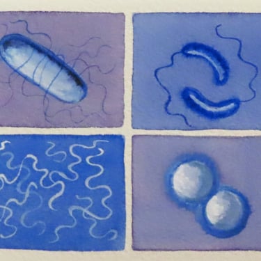 Microbes in Lavender and Blue - original watercolor painting of bacteria - microbiology art 