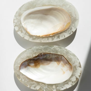 Large Resin Shell Caviar Dish in Clear