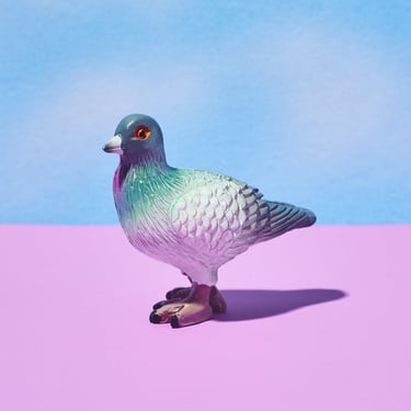 Friends NYC Pigeon Magnet