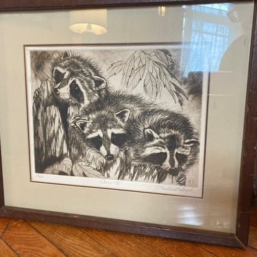 Linda Lloyd Racoons Etching Print Signed and Numbered Original Framed Art 