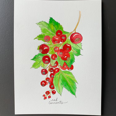 Red Currants Original Watercolor Painting