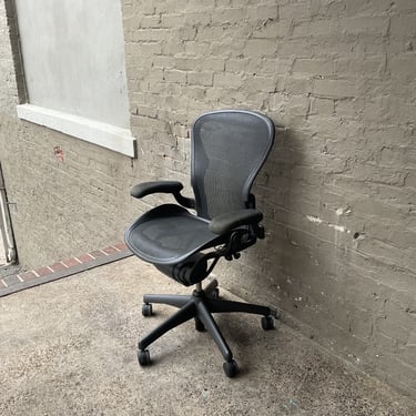 Aeron Chair, Faded Arms, Size C