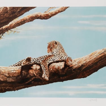 Joseph Vance, Reclining Leopard 