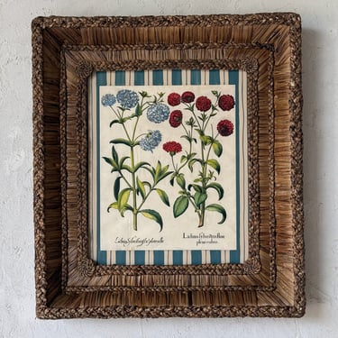 17th C. Hand Colored Besler Engraving of Frittillaria in Gusto Woven Frame III