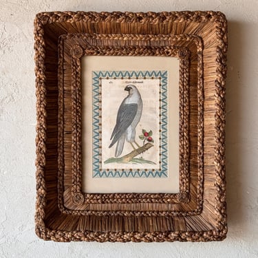 Gusto Woven Frame with Aldrovandi Hand-Colored Ornithological Engraving XXXIV