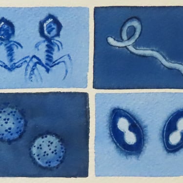 Blue Viruses - original watercolor painting - microbiology art 