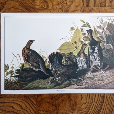 New Vintage Audubon Watercolor Gamebirds Placemats 