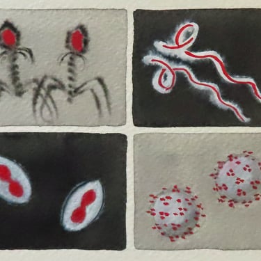 Viruses in Black, White and Red - original watercolor painting - microbiology art 
