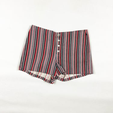 1970s Striped Hot Shorts / Vertical Stripes / Printed Denim / Novelty Print / Psychedelic / Red White Blue / Medium / Mod / 70s  / M / 