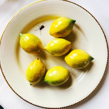 French Porcelain Trompe l'Oeil Plate with Lemons