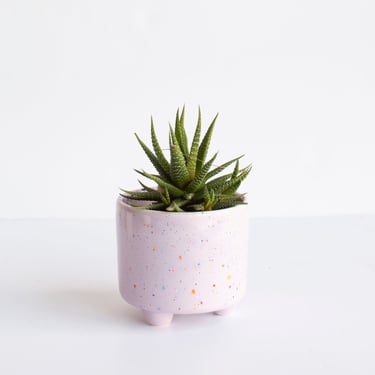 Party Foot Planter in Lilac
