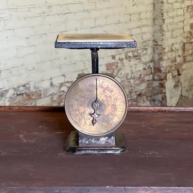 Antique Pelouze Mfg Brass Face 24 Pound Family Scale 