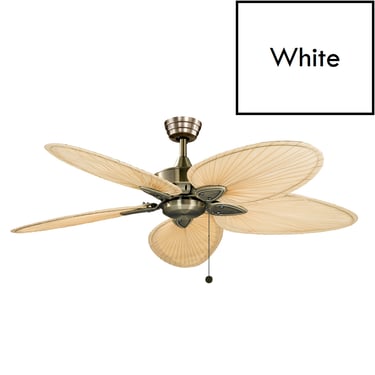 Fanimation 'Windpointe' 52&quot; 5-Blade White Ceiling Fan FP7500