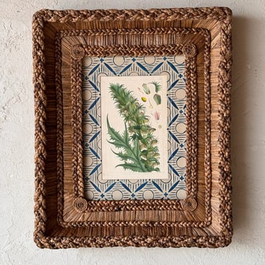 Gusto Woven Frame with 18th C. Phillip Miller Botanical Hand-Colored Engraving XII