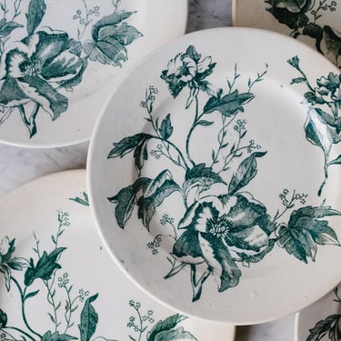 Transferware Plate with Magnolias Matched Set of 6