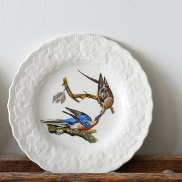 Vintage Audubon Bird Plate Set 