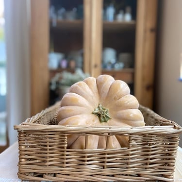 Beautiful vintage Rench bread basket with built in handle 