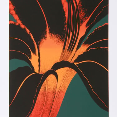 Black Lily by John Cederstrom 